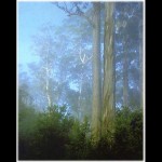 Forest 14