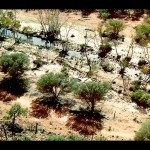 Land 99
