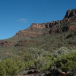 Season of Creation 2006
Mountain
Flinders Ranges South Australia