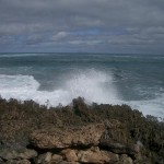 Ocean 29