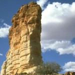 Outback 15