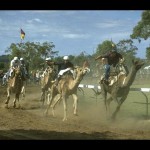 Outback 3