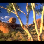 Outback 48