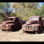 Outback 51