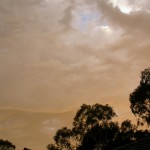 Season of Creation 2006  Sky