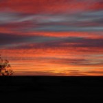 Season of Creation 2006  Sky
Dawn, Marree, sotuh Australia